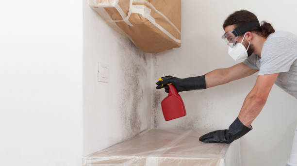 Professional Mold Testing technician working in Long Beach, WA