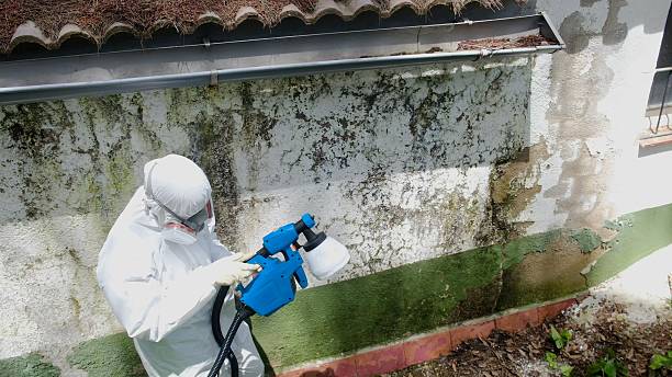 Top rated local Mold Remediation specialists in Long Beach, WA